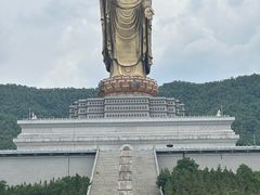 -中原大佛景区