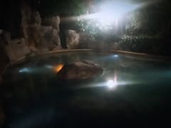 -天目湖涵田半山温泉