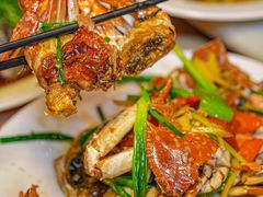 -岛中岛·海鲜大排档·万宁老字号(东澳店)