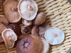 活体松香菇-捞王锅物料理(上海世茂广场店)