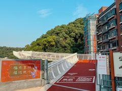 -金鸡山公园