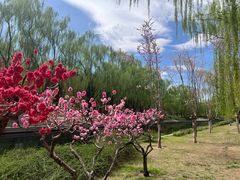 -元大都城垣遗址公园
