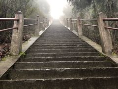 -江西阳明山国家森林公园