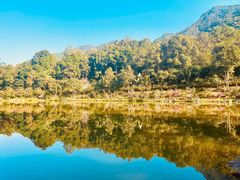 -深圳仙湖植物园