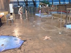 -青岛东方影都融创水世界