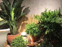 -渔藤(万柳东路店)