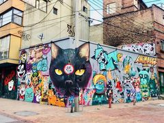 -波哥大埃尔多拉国际机场