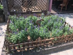 -慢丽江·云南野生菌土鸡锅(西山店)