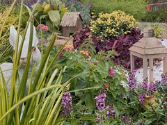 -镇江市南山风景名胜区竹林景区