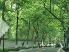 -野蔓果·山野菜(西湖景区·龙井茶田店)