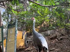 -燕塞湖鸟语林景区