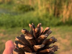 -唐坊·湖南菜(丰尚国际店)