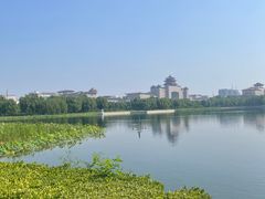-莲花池公园