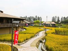 -乌村