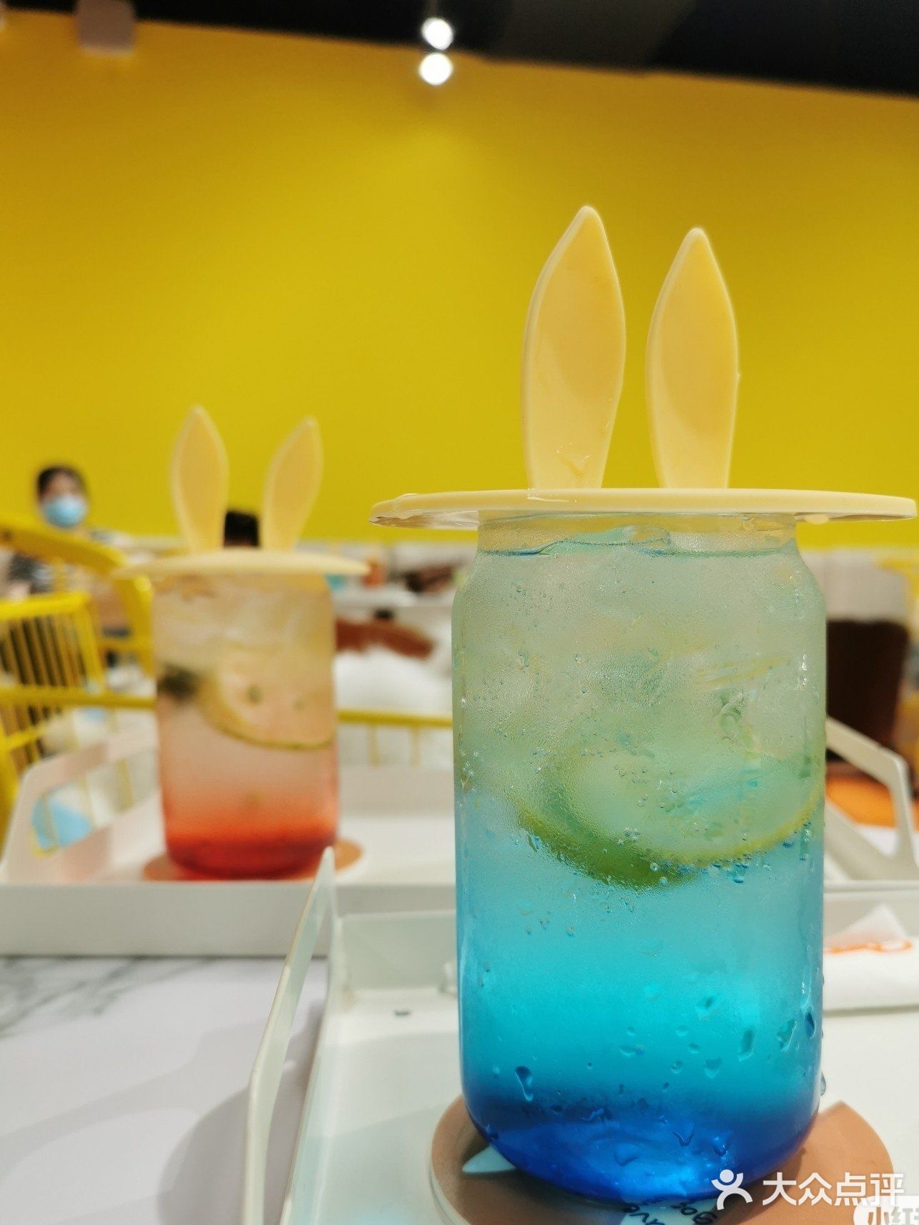 厦门探店‖兔兔浣熊小香猪三大萌宠等你来撸