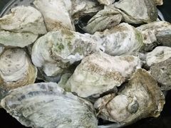 -蚝专家(北滘店)