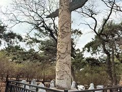 -北陵公园