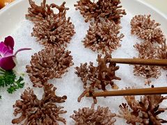 -纯味斑鱼府(上海总店)