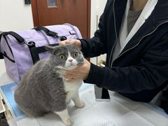 -美联众合动物医院·24h转诊中心