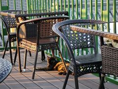 -EATALIA意塔利意式餐厅(鼓楼店)