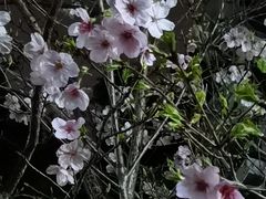 -乌山风景区