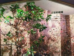 -长江文明馆