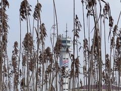 -上海吴淞炮台湾国家湿地公园