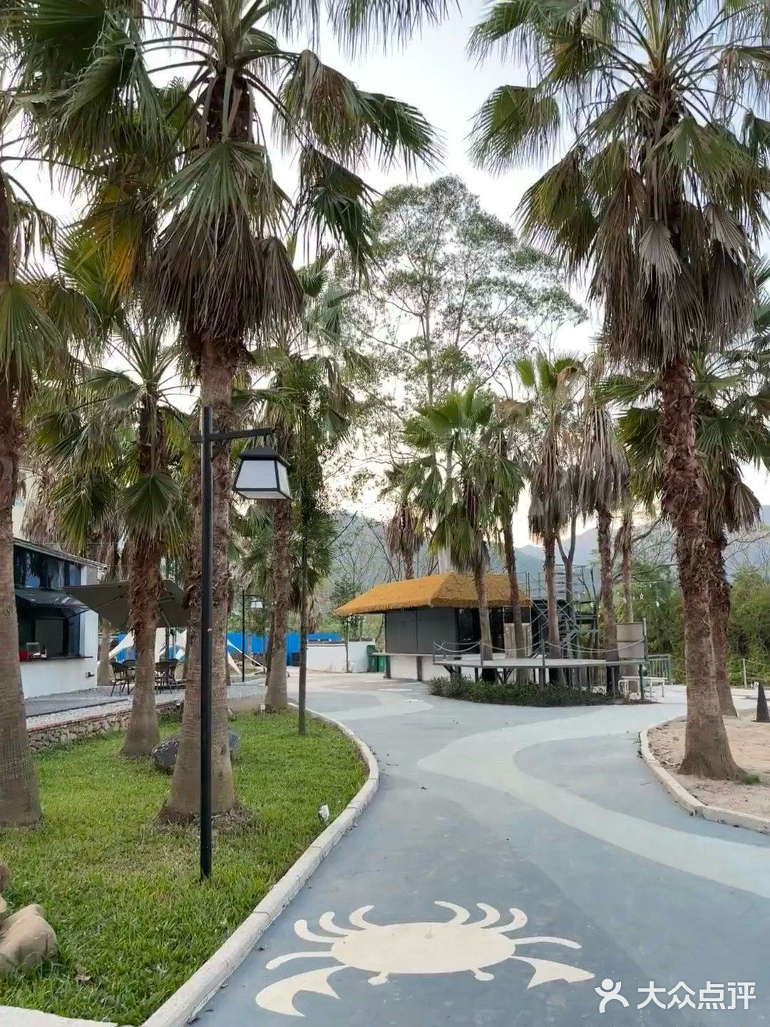 悠哉闲闲