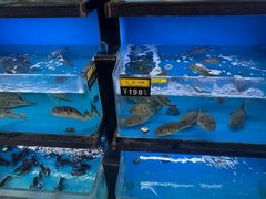 -莆鑫海鲜城(浏河店)