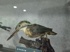 -沈阳植物园