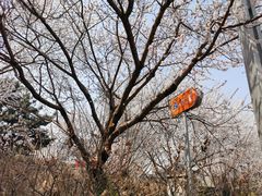 -长安寺