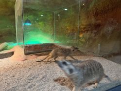 -酷嗒动物文化乐园(cutezoo西溪乐天城店)