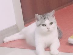 -鼎宏干锅牛肉(富城时代店)