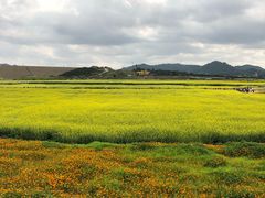 -光明小镇欢乐田园