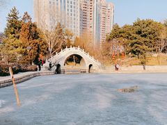 -团结湖公园