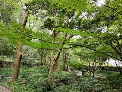 -杭州萧山国际机场