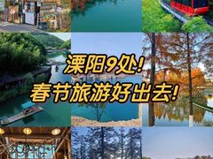 -紫藤园·天目湖大鱼头(南山竹海店)