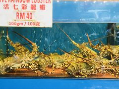 -真浪花园海鲜餐馆