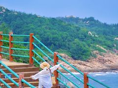 -广东惠东海龟国家级自然保护区
