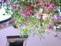 -深圳国际园林花卉博览园