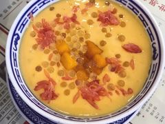 杨枝甘露-捷信牛奶甜品世家(五道口店)