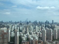 -环球港凯悦 · 享悦中餐厅