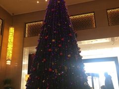 -成都保利公园皇冠假日酒店(熊猫基地店)