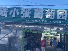 -马陆小张葡萄园农家乐