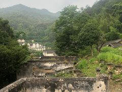 -雁南飞茶田景区