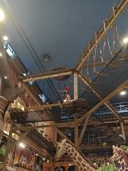 -卡通尼·Safari非洲探索乐园·生日会(金桥国际商业广场店)