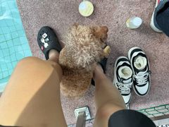 -帕帕拉兹宠物(亚洲旗舰店)