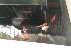 -苏州环秀晓筑养生度假村