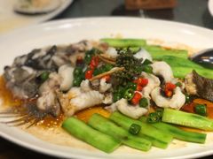 鲜花椒蒸鱼-猪肉婆私房菜(容桂总店)