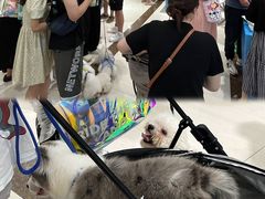 -开元商城(西旺店)